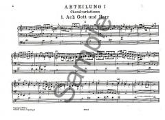 Organ Works Vol. 3 von Dietrich Buxtehude 