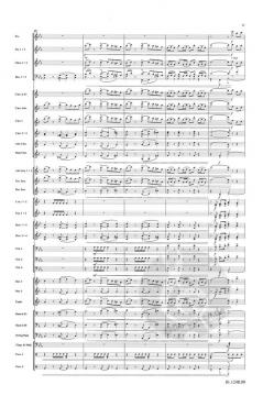 Spirit Of Life (Meindert Boekel) 