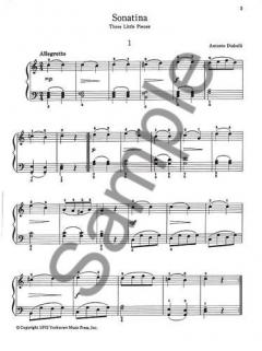 The Joy of Sonatinas 