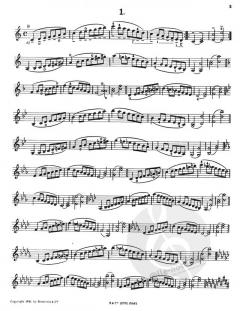 Sevcik Violin Studies: Scales And Arpeggios von Otakar Ševčík im Alle Noten Shop kaufen