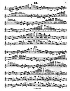 Sevcik Violin Studies: Scales And Arpeggios von Otakar Ševčík im Alle Noten Shop kaufen