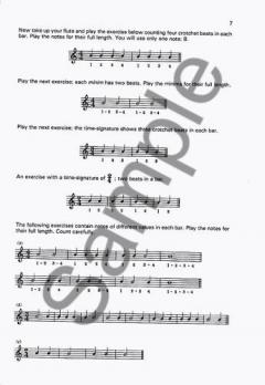 A Beginner's Book for the Flute Part 1 von Trevor Wye 