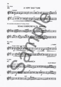 A Beginner's Book for the Flute Part 2 von Trevor Wye 