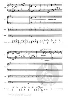 Andrew Lloyd Webber In Concert (Andrew Lloyd Webber) 