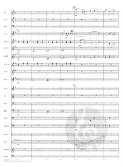 The Hunchback Of Notre Dame (Selections From) 