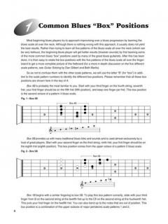 Texas Blues Guitar von Robert Calva 