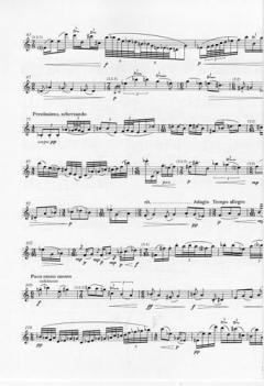 Litany for a Ruined Chapel Between Sheep and Shore von Peter Maxwell Davies 