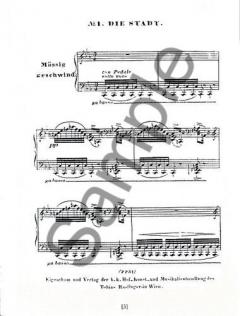 The Schubert Song Transcriptions for Solo Piano 3 von Franz Liszt 