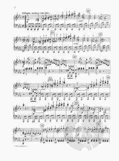 5 Great Piano Sonatas von Ludwig van Beethoven 