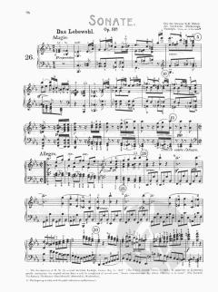 5 Great Piano Sonatas von Ludwig van Beethoven 