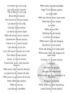 L'Harmonica Blues Pour Debutants im Alle Noten Shop kaufen