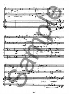 Sonata von John McCabe 