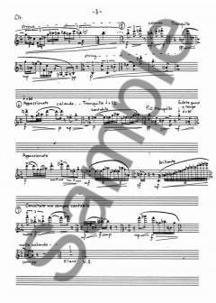 Clarinet Quintet von Tristan Keuris 