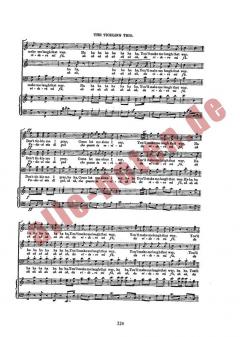 The Tickling Trio STB/Piano von Giovanni Battista Martini 