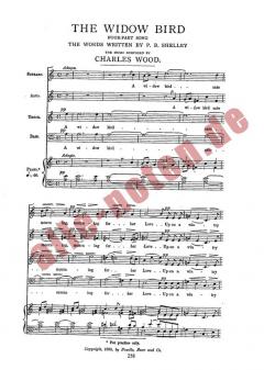 The Widow Bird von Charles Wood 