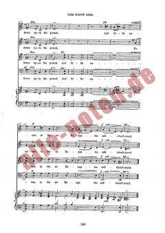 The Widow Bird von Charles Wood 