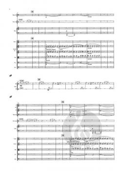 Symphony No. 8 Op. 81 von Aulis Sallinen 