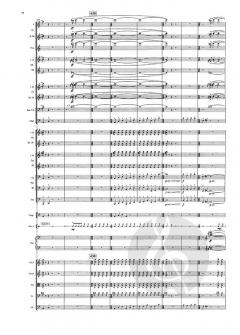 Symphony No. 8 Op. 81 von Aulis Sallinen 