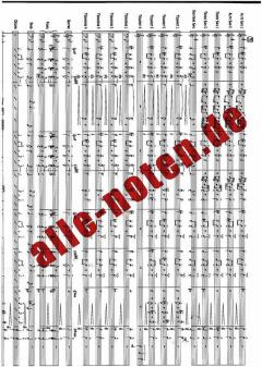 Flugel Nights von Mark Taylor 