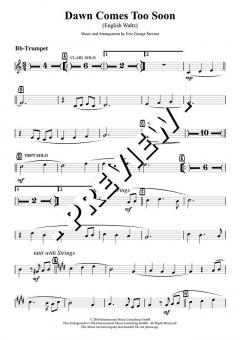 Dawn Comes Too Soon - DOWNLOAD von Eric Stevens (Download) 