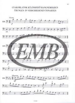 Harsonaiskola 1 von Ferenc Steiner 