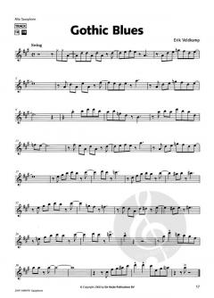 Play 'em Right! More Play-Along von Erik Veldkamp 