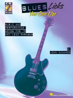 Blues Licks You Can Use von John Ganapes 
