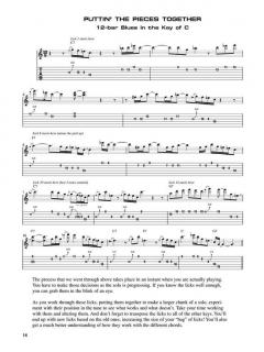 Blues Licks You Can Use von John Ganapes 