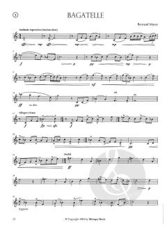 Concert Etudes for Trumpet im Alle Noten Shop kaufen