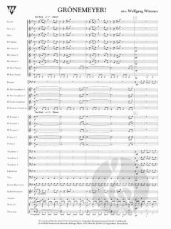 Grönemeyer! (Herbert Grönemeyer) 