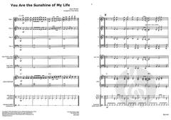 You Are The Sunshine Of My Life 