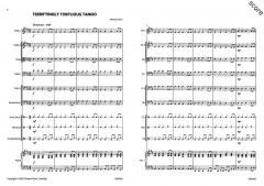 Seriously Simple Samba & Terrifyingly Tortuous Tango von Wendy Owen 