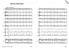 Seriously Simple Samba & Terrifyingly Tortuous Tango von Wendy Owen 