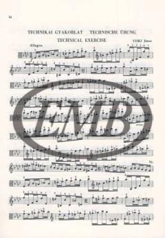 Lagenwechsel-Übungen für Bratsche 