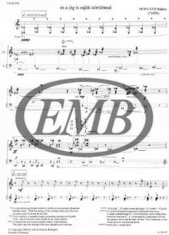 and the ice is cracking around you, too von Balazs Horvath für Flöte und Klavier im Alle Noten Shop kaufen