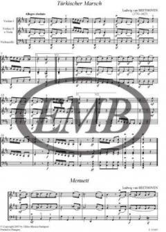 Klassische Streichtrios in der ersten Lage von Arpad Pejtsik für Anfänger im Alle Noten Shop kaufen