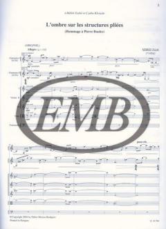 L'ombre sur les structures pliées (Zsolt Serei) 