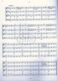 13 leichte Stücke von Ludwig van Beethoven für Kinderstreichorchester (erste Lage) im Alle Noten Shop kaufen