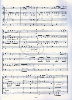 14 leichte Stücke für Kinderstreichorchester von Joseph Haydn 