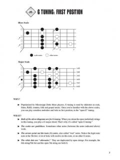 Fretboard Roadmaps: Slide Guitar von Fred Sokolow 