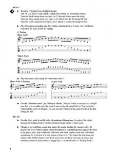 Fretboard Roadmaps: Slide Guitar von Fred Sokolow 
