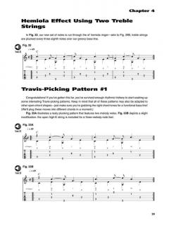 Power Plucking von Dale Turner 