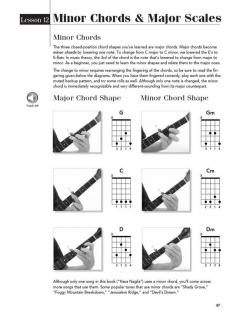 Play Banjo Today! Level 1 von Colin O'Brien im Alle Noten Shop kaufen