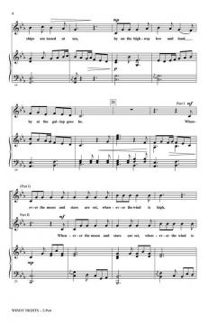 Windy Nights (Kirk Aamot) 