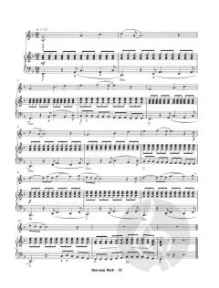 Handbuch der Pop-Stile von Christopher Norton 