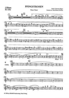 Pfingstrosen von Hermann Egger 