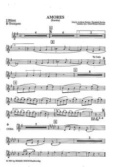 Amores von Ambros Seelos 