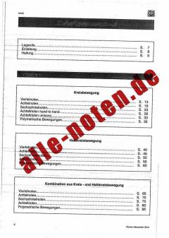 Die Kunst des Besenspiels (Florian Alexandru-Zorn) 