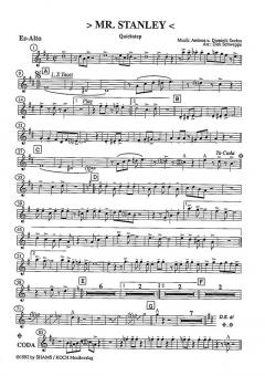 Mr. Stanley von Ambros Seelos 