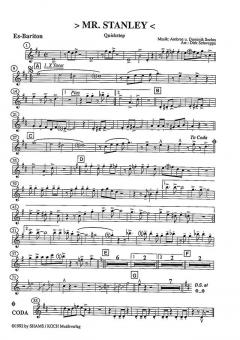 Mr. Stanley von Ambros Seelos 